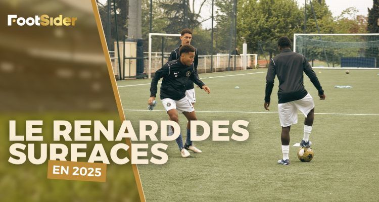 Le renard des surfaces